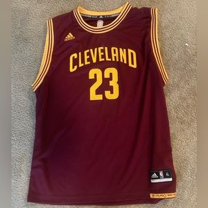LeBron James adidas Cavs Jersey